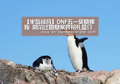 半岛综合