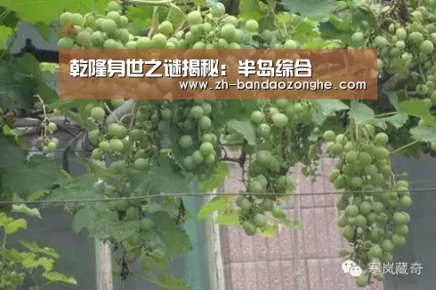 乾隆身世之谜揭秘：半岛综合