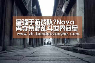 最强手游战队?Nova再夺荒野乱斗世界冠军-半岛综合(图2) 半岛综合