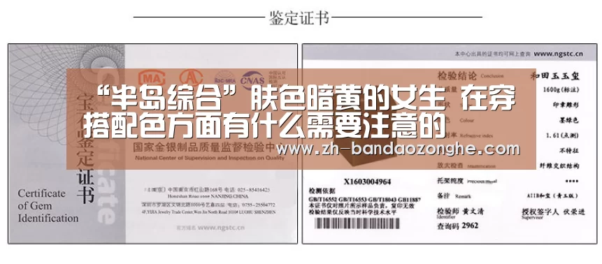 半岛综合