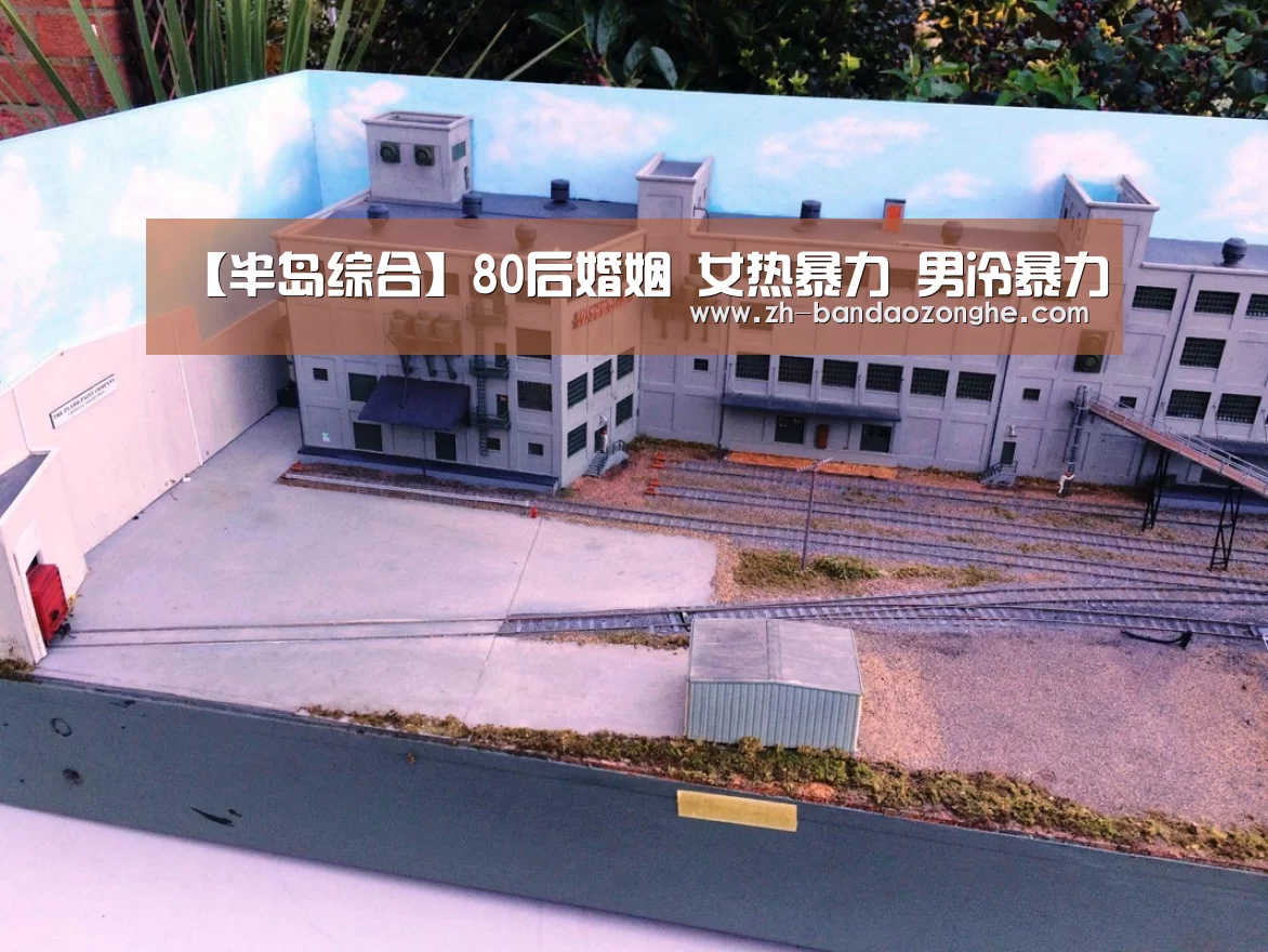 【半岛综合】80后婚姻 女热暴力 男冷暴力(图4) 半岛综合