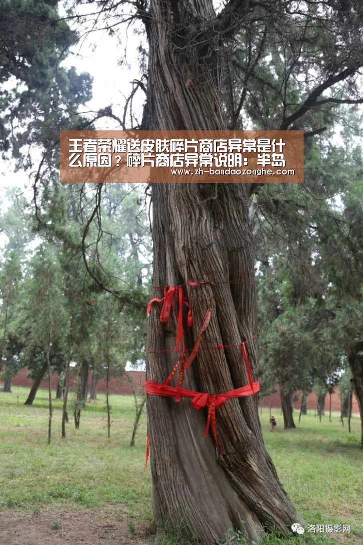 王者荣耀送皮肤碎片商店异常是什么原因？碎片商店异常说明：半岛综合