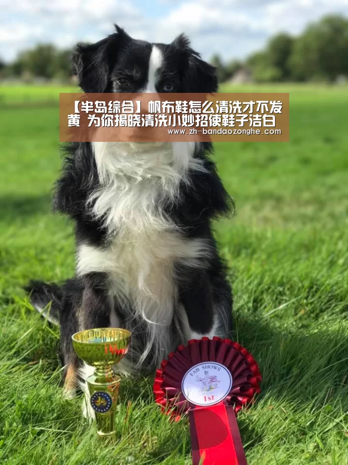 【半岛综合】帆布鞋怎么清洗才不发黄 为你揭晓清洗小妙招使鞋子洁白如新