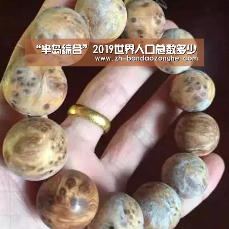 半岛综合