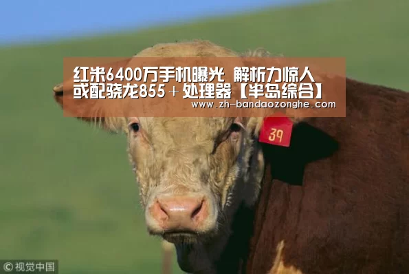 红米6400万手机曝光 解析力惊人 或配骁龙855＋处理器【半岛综合】