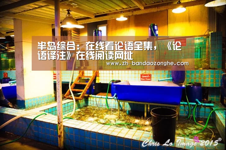 半岛综合:在线看论语全集,《论语译注》在线阅读网址(图4) 半岛综合