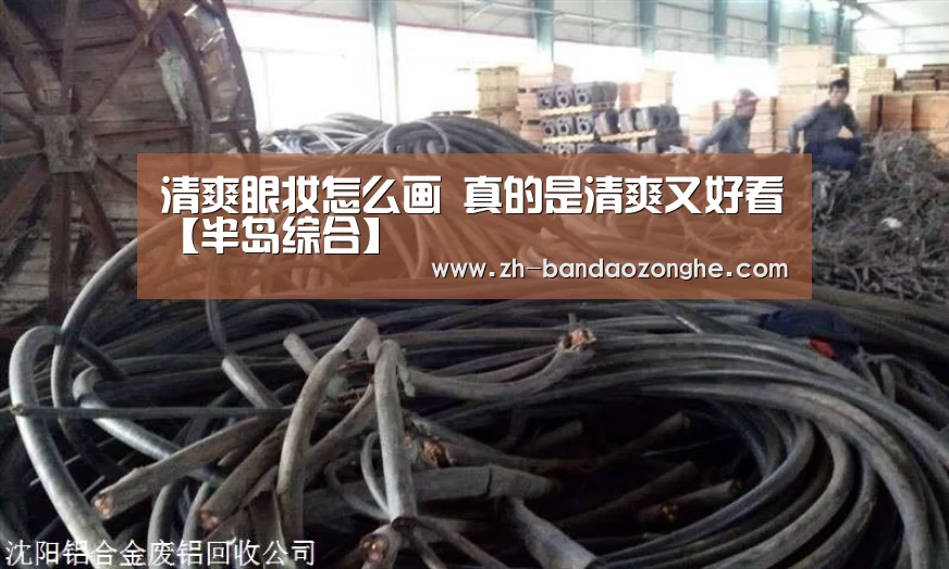 清爽眼妆怎么画 真的是清爽又好看【半岛综合】(图2) 半岛综合